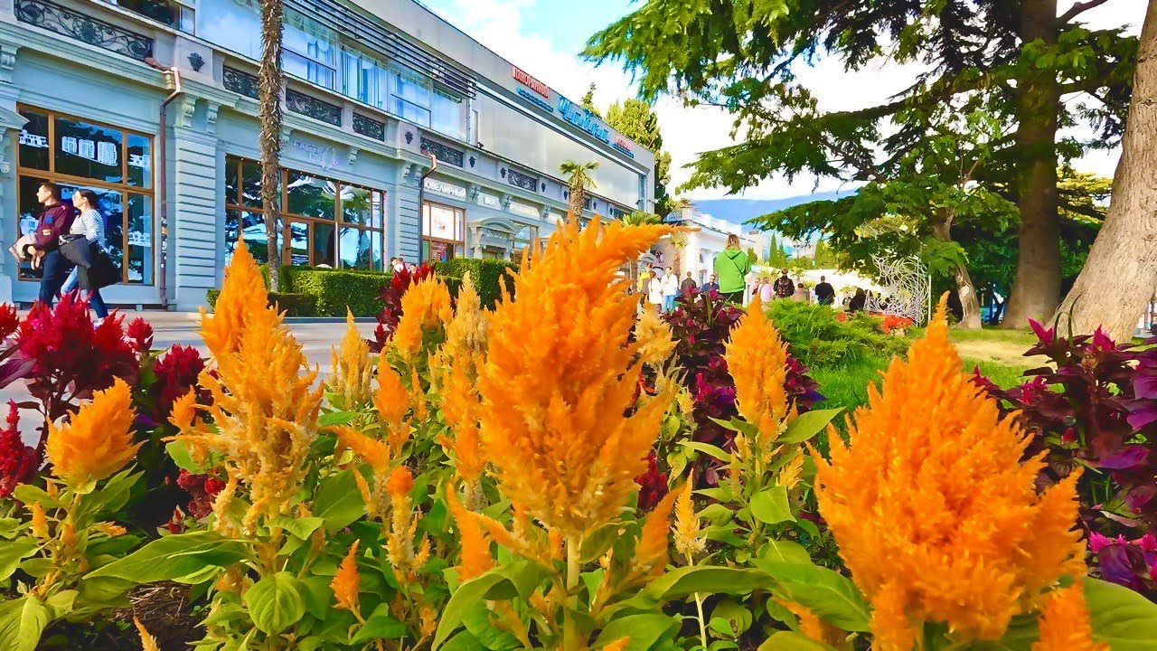 ЯЛТА сегодня. КОЛОССАЛЬНЫЕ изменения! ЧИСТКА РЕК, новый СТАДИОН ...