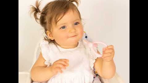 Nibble and Rest website video