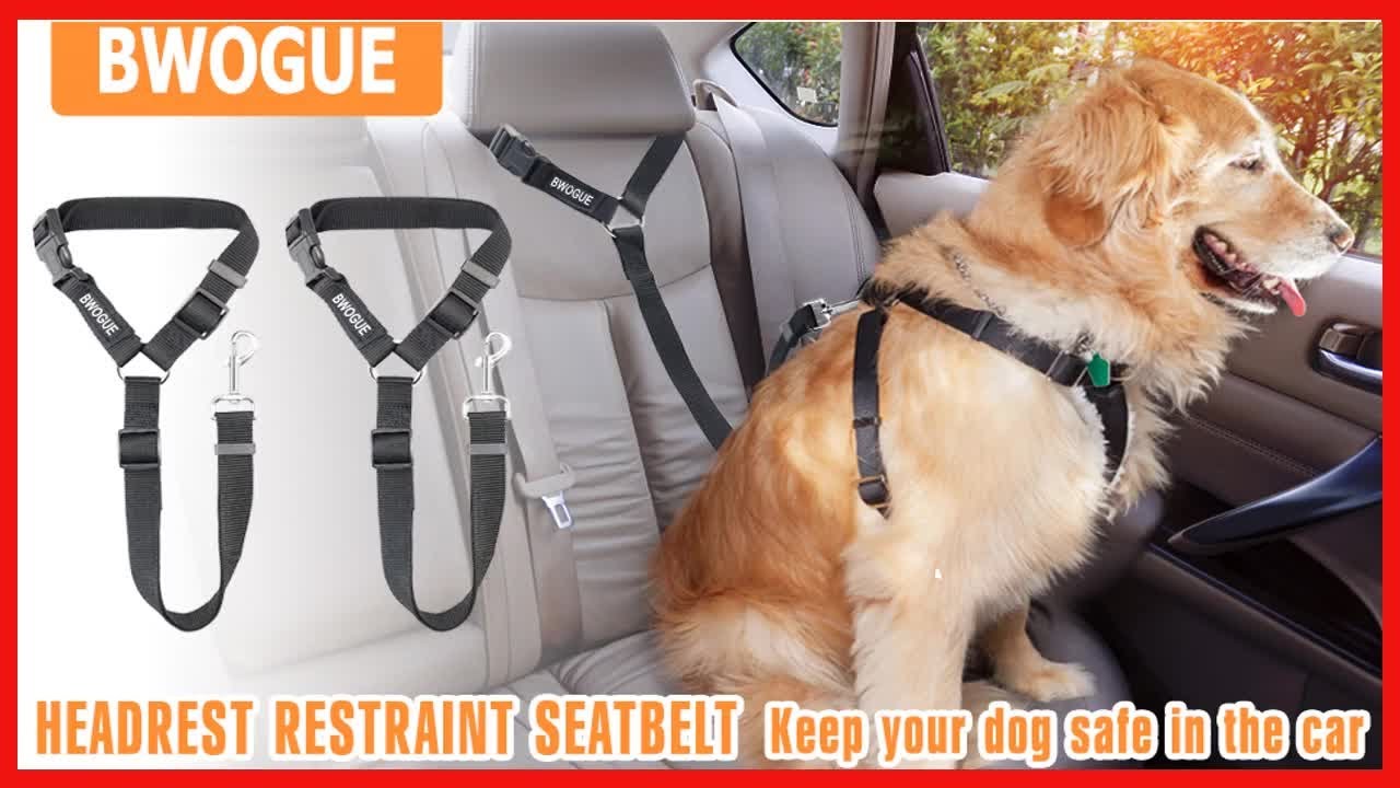  SlowTon Dog Seatbelt, 2 Pack Dog Seat Belt Car Leash