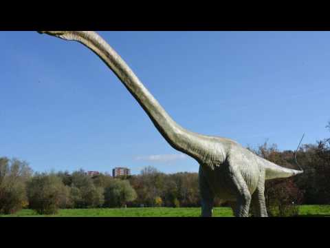 Could Dinosaurs Have Existed 'Recently'? | Space News