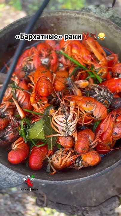 «Бархатные»РАКИ🦞😂👞 #ракиоки #seafood #раки #живыераки #крабы # ...