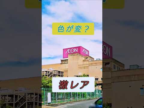 【激レア】思わず二度見してしまう・滋賀県近江八幡市
