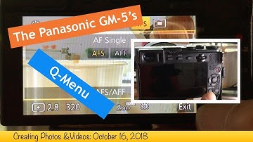 The Panasonic GM 5’s Q Menu