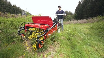 The Ultimate Brush Mulching Machine