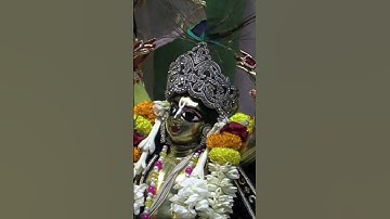 iskcon#mayapur#darshan#arati#21/3/25