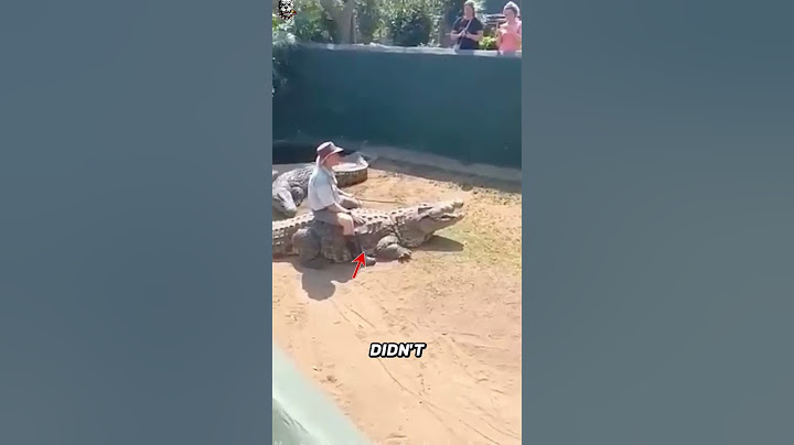 This Crocodile Is Dangerous 😏