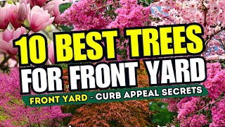 Top 10 BEST Trees for ANY Front Yard Garden Style  CURB APPEAL SECRETS