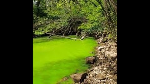 Eutrophication by environmental science