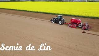 Semis de LIN 2024