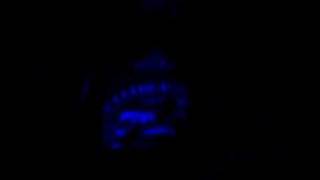 Career Soldiers - Fuck the World Skating is Better