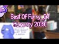 Best Of Furry Reddit (January 2019) | Xephas Gracepaws