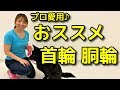 【犬 首輪胴輪】ドッグトレーナー愛用の首輪・胴輪【犬のしつけ＠横浜】by遠藤エマ先生