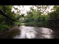 VR of Nature walk in the river with Lilly our dog playing in the water