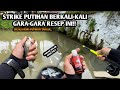 Segala jenis putihan takluk karena resep ini mancing wader dan melem pakai essen rs31 gacor banget