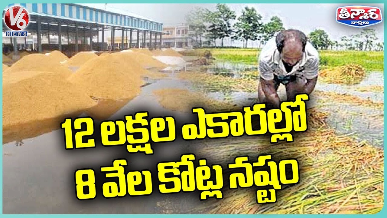 Huge Crop Damage Due To Heavy Rains | V6 Teenmaar - YouTube