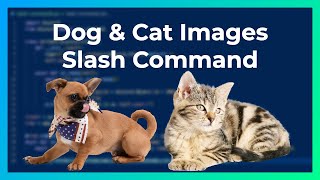 Cat & Dog Images Slash Commands | discord.py screenshot 4
