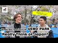 "AN APP TOLD ME TO GO!" | Why Travelers Flock to UENO PARK for Sakura 2026 (Japan Travel 2026)