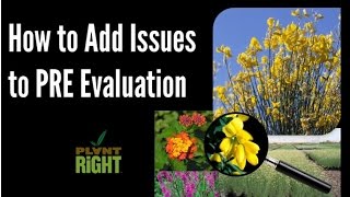 Adding Issues to a PRE Evaluation
