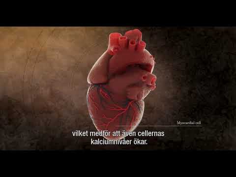Video: Diabetes Och Kardiovaskulär Sjukdom Hos Kvinnor