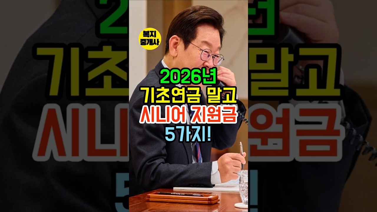 2026년 기초연금 말고 시니어 지원금 5가지! 