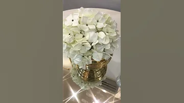 افضل فنانين الرياض طق حماس افراح مدح حماس حفل زواج بالرياض فنانين الرياض طقاقة الرياض 