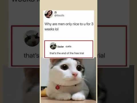 Xavier Cat S Reacts 101 Memes