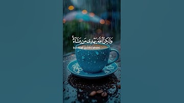 إِنَّكَ لَا تَهْدِي مَنْ أَحْبَبْتَ وَلَٰكِنَّ اللَّهَ يَهْدِي مَن يَشَاءُ#سورة_القصص