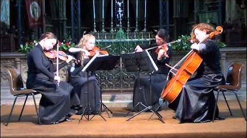 Nero String Quartet Lord of the Rings - Concerning Hobbits
