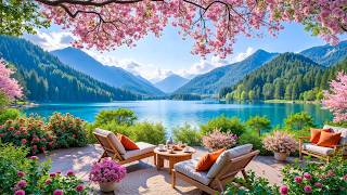 Spring Morning Porch Ambience 🌺 Gentle Piano, Nature Sounds for Relaxation & Calm Focus screenshot 4