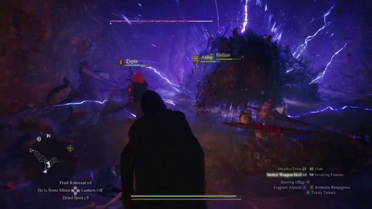 Dragon's Dogma 2 Trickster gameplay - we stumbled upon an ogre's lair. . .