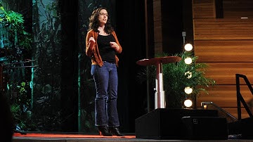 Annie Murphy Paul: What we learn before we