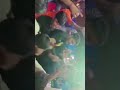#shorts #reels #song #video #viral #trending #highlight #bihar #india #shortvideo #youtubeshorts#hd