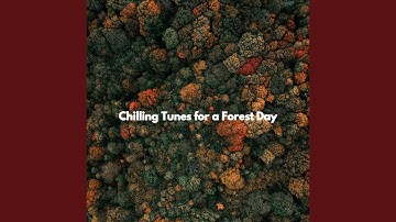 Sumptuous Ambiance for Powerful Boosts