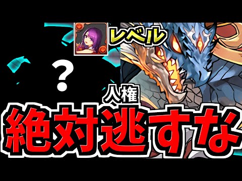 【絶対逃すな】正月カミムスビ級の人権！知らなくて後悔しないように！性能＆取り方解説！シヴァドラ使い必見です【パズドラ】