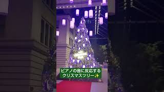 丸の内イルミネーション2023 ショート動画 丸の内 クリスマスツリー