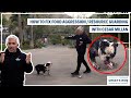 How to Fix Dog Food Aggression and Resource Guarding | DOG TIPS #3