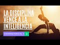 La Disciplina Tarde o Temprano Vencerá La Inteligencia  | Beto López