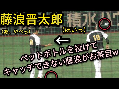 【藤浪晋太郎】ペットボトルを投げてキャッチ出来ずに落としちゃう藤浪がお茶目ｗ2021年8月17日 横浜DeNAベイスターズ対阪神タイガース