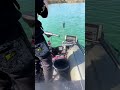 Monster catfish eats bait😳🤯. Live catfish strike from little boat🤪. Vertical fishing for catfish!