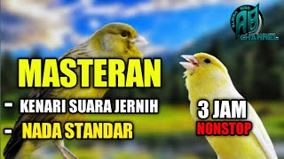 kenari lagu standar || masteran kenari