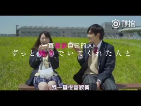【2017日影預告】戀愛禁止的世界／戀愛與謊言 真人版 （森川葵 / 北村匠海 / 佐藤寬太）