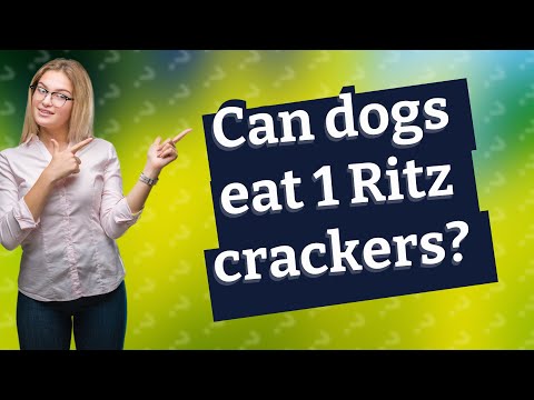 فيديو: هل يمكن للكلاب أن تأكل بسكويت ريتز؟
