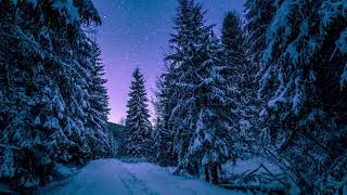 Classic Christmas Music | Christmas Slideshow | Fireplace Music screenshot 4