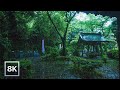 Rainy Morning in Enoshima / 8K 60fps HDR / Relaxing Ambient Sound