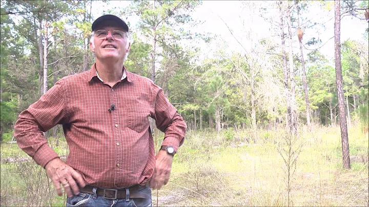 Tom Staley:  part 5