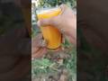 drinking juice 🍹in garden |#shortsvideo #drink #ytshorts |