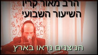 הרב מאור קריו - רב הניצנים נראו בארץ