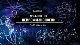 Учебник по нейрофизиологии - аудиокнига | Раздел 8 | Олег Мальцев