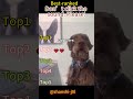 #funnyvideos #pet #funny #shortsfeed