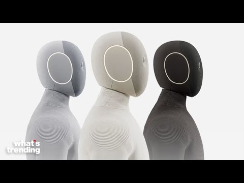 Why Critics Question the $20K Robot That Does Chores